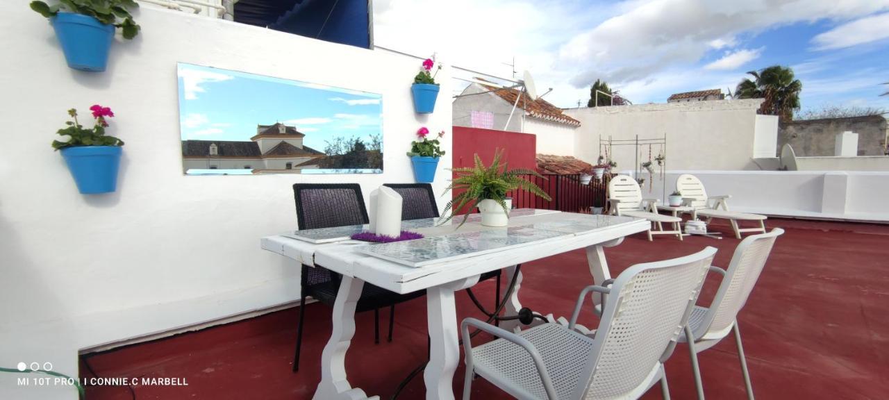 Big And Cozy With A Big Terrace In The Center Of The Old Town
